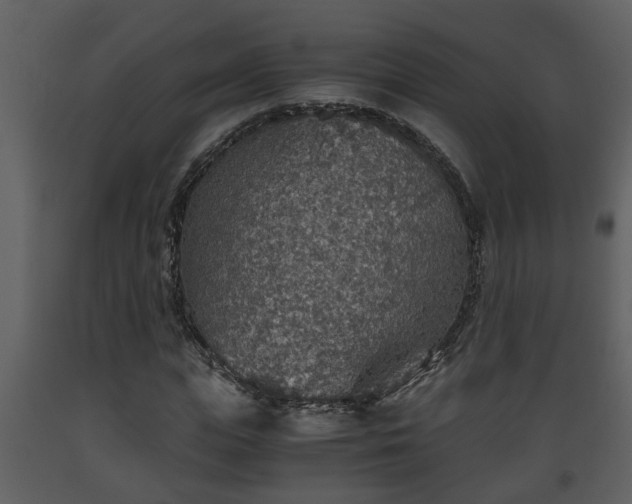 X0000093440823200710191039