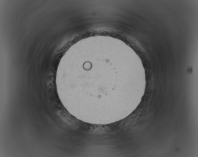 X0000093440824200710191039