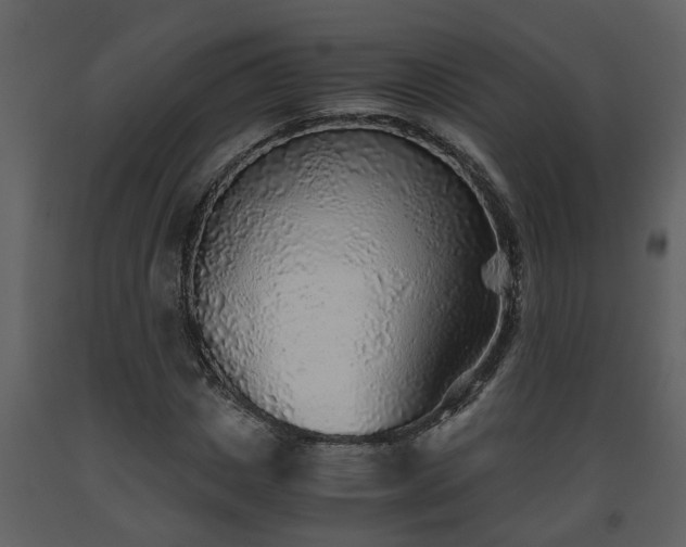 X0000093440825200710191039