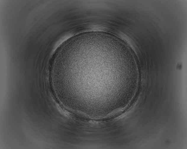 X0000093440827200710191039