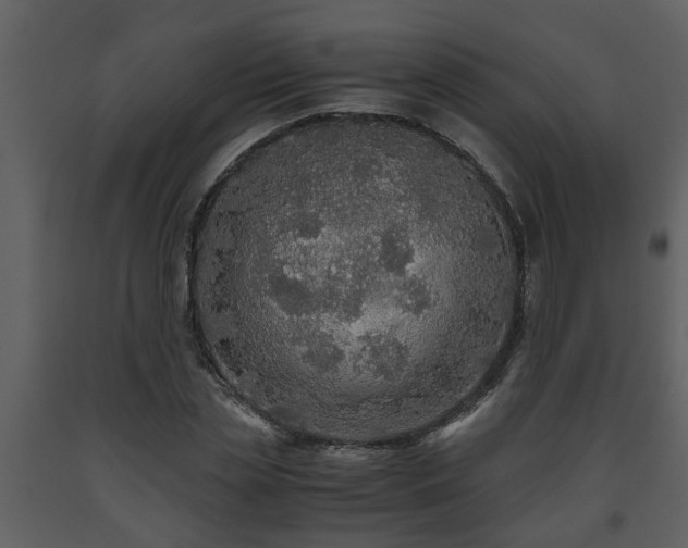 X0000093440829200710191039
