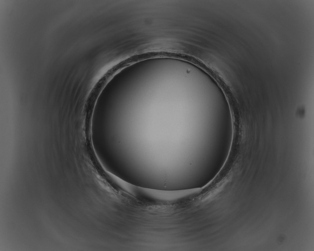 X0000093440830200710191039