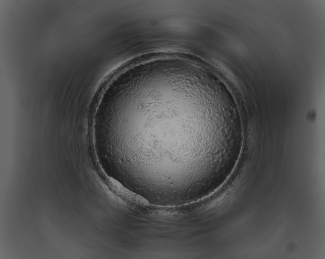 X0000093440831200710191039