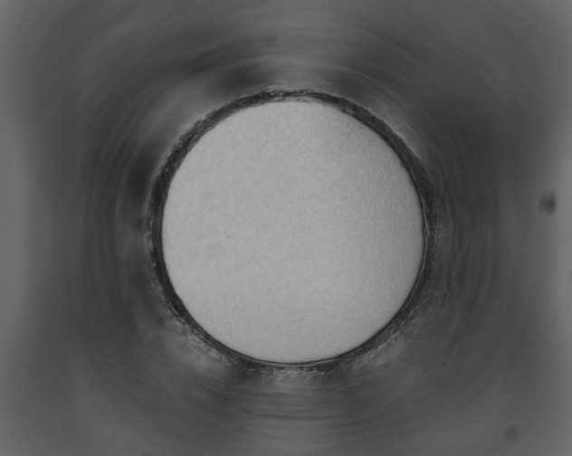 X0000093440832200710191039