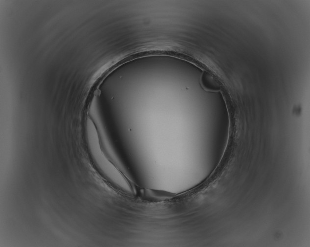X0000093440834200710191039