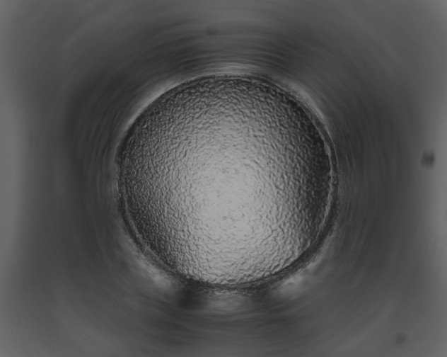 X0000093440835200710191039