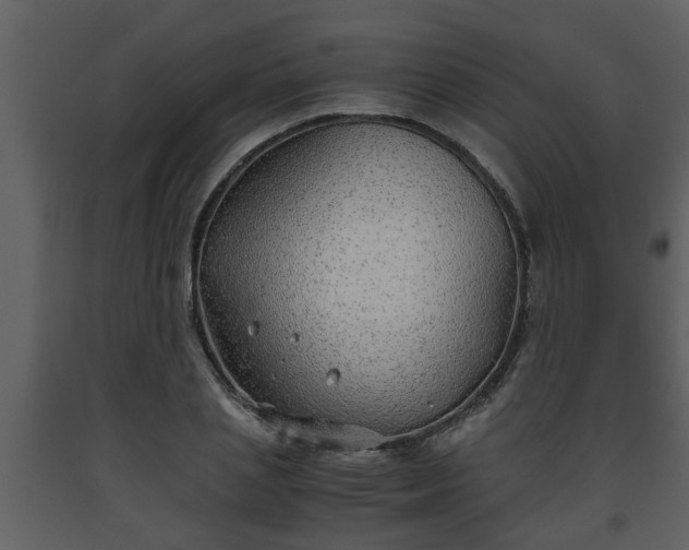 X0000093440837200710191039