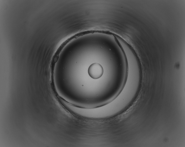 X0000093440838200710191039