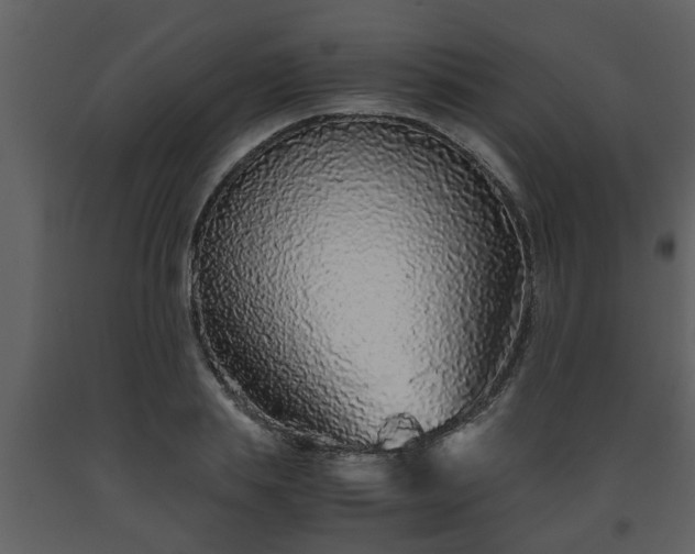 X0000093440839200710191039