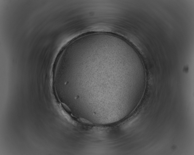 X0000093440840200710191039