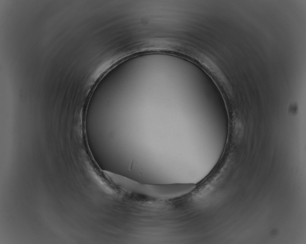 X0000093440842200710191039