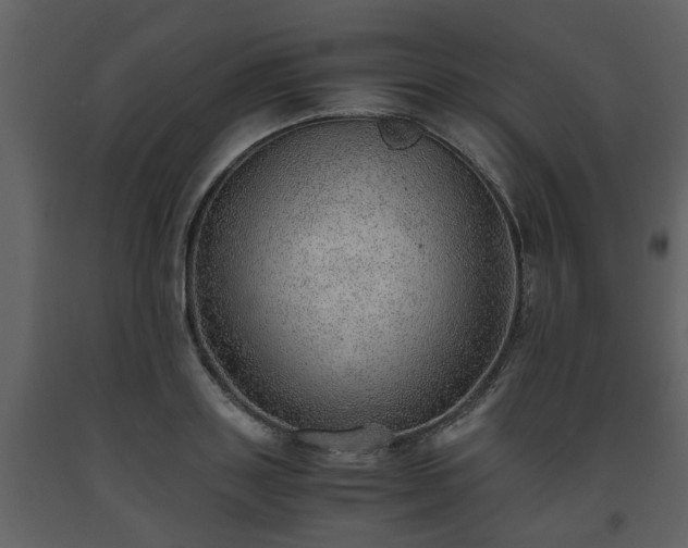 X0000093440843200710191039