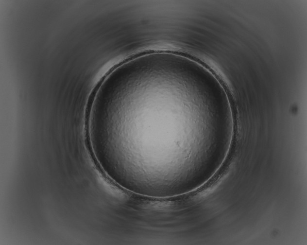 X0000093440845200710191039