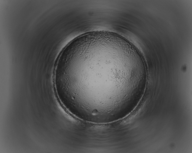 X0000093440847200710191039