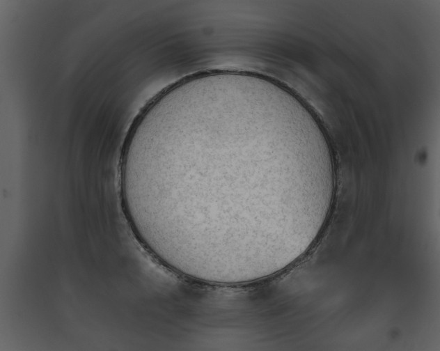 X0000093440848200710191039