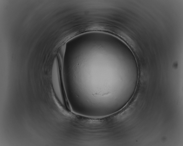 X0000093440849200710191039
