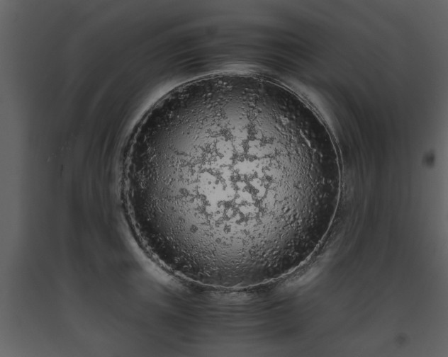 X0000093440851200710191039