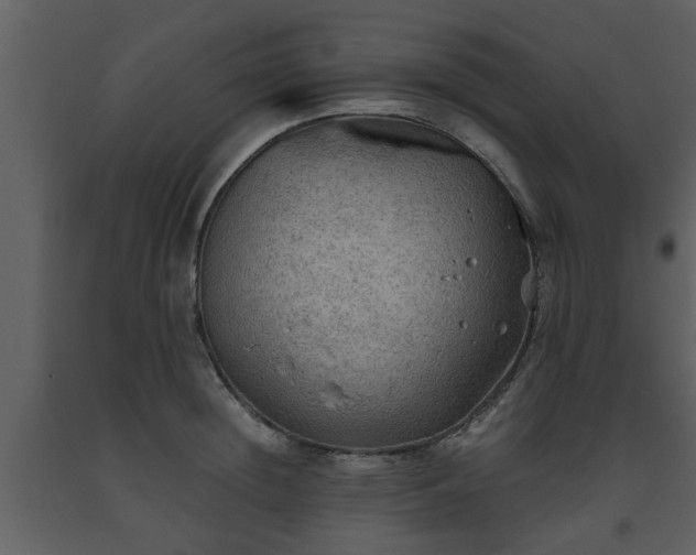 X0000093440852200710191039