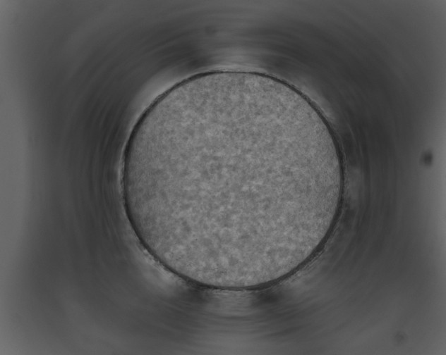 X0000093440856200710191039