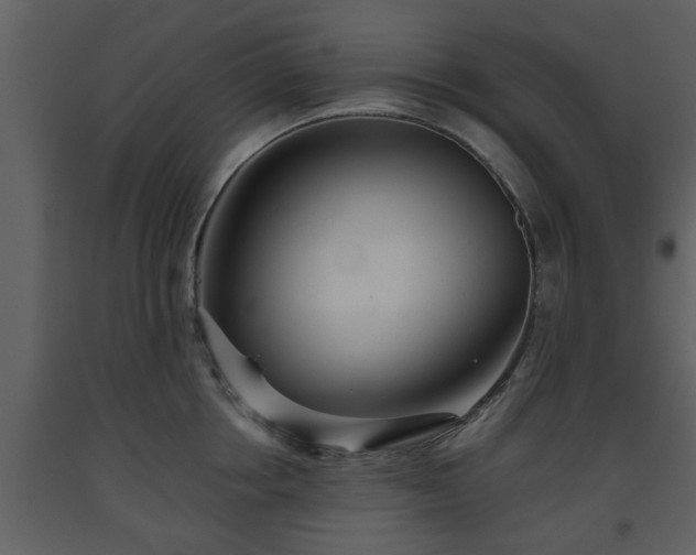 X0000093440858200710191039