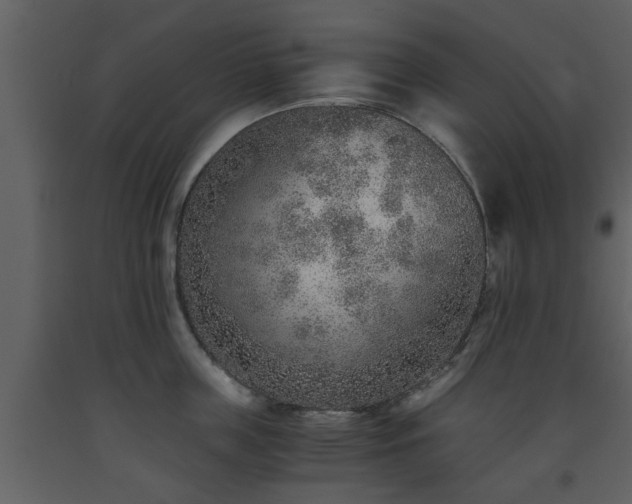 X0000093440859200710191039