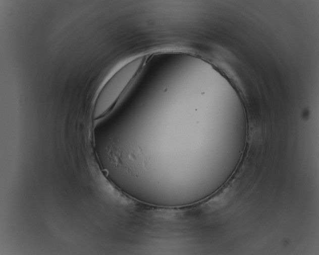 X0000093440860200710191039