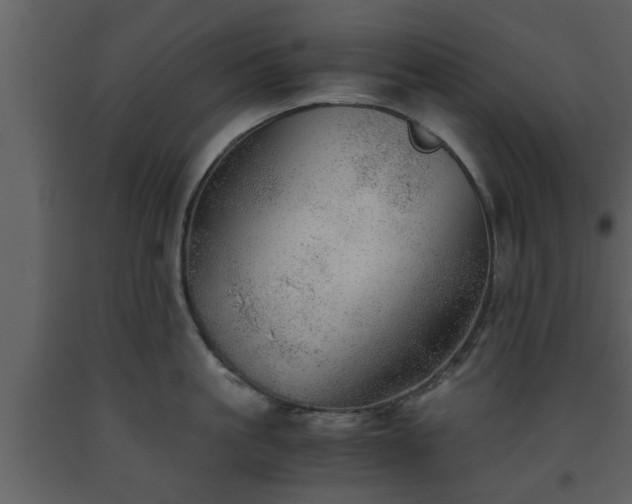X0000093440861200710191039