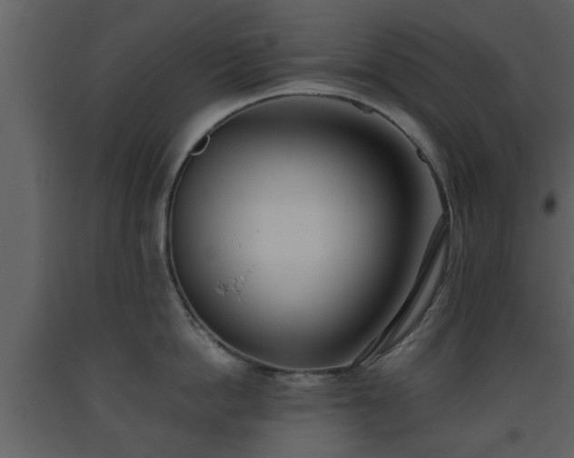 X0000093440862200710191039