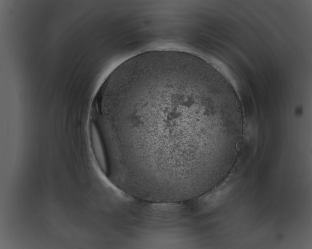 X0000093440863200710191040
