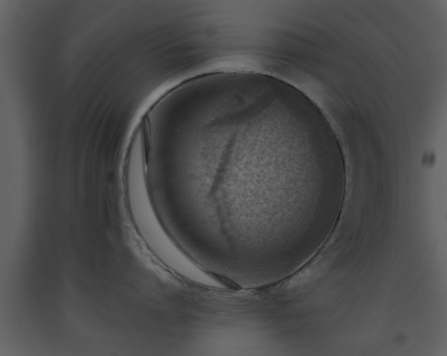 X0000093440864200710191040