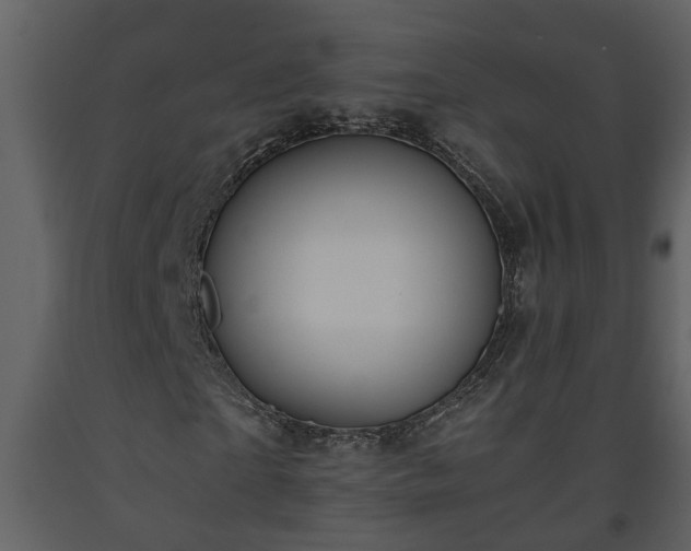 X0000093440865200710191039