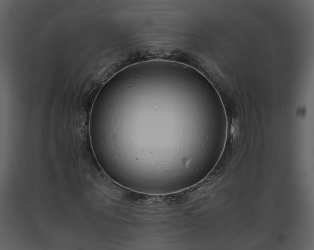 X0000093440867200710191039