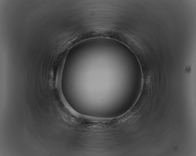 X0000093440868200710191039
