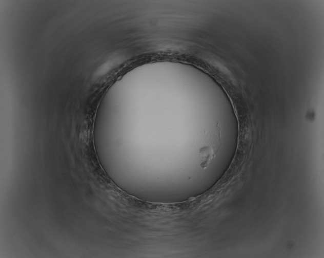 X0000093440869200710191039