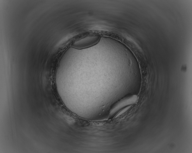 X0000093440870200710191039