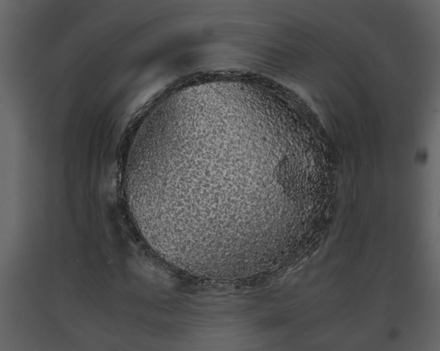 X0000093440871200710191039