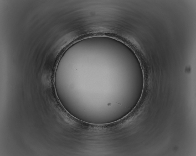 X0000093440873200710191039