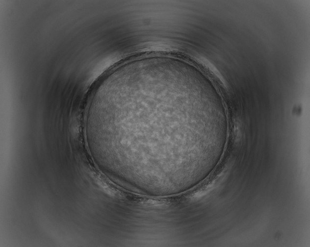 X0000093440874200710191039
