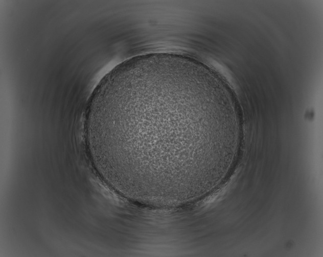 X0000093440875200710191039