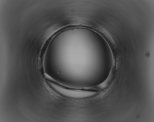 X0000093440876200710191039