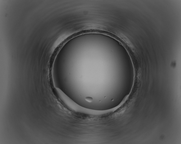 X0000093440877200710191039