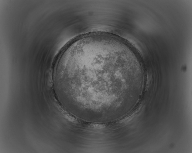 X0000093440878200710191039