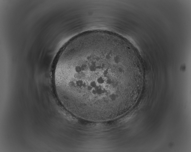 X0000093440879200710191039