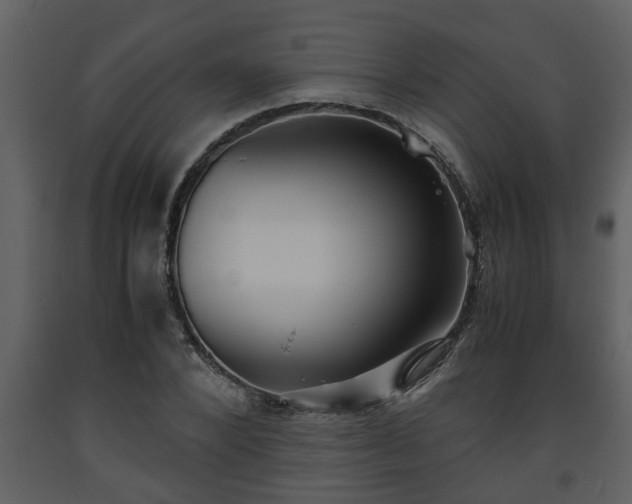 X0000093440880200710191039