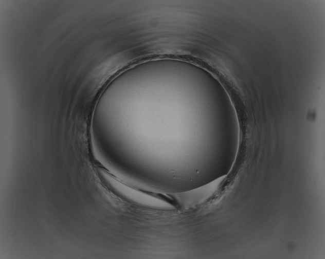 X0000093440881200710191039
