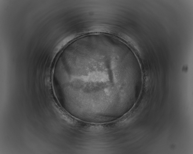 X0000093440882200710191039