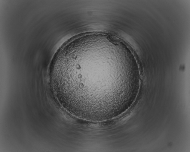 X0000093440883200710191039