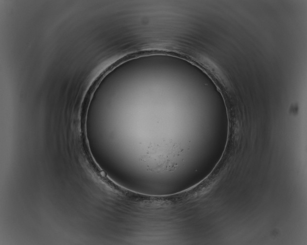 X0000093440884200710191039