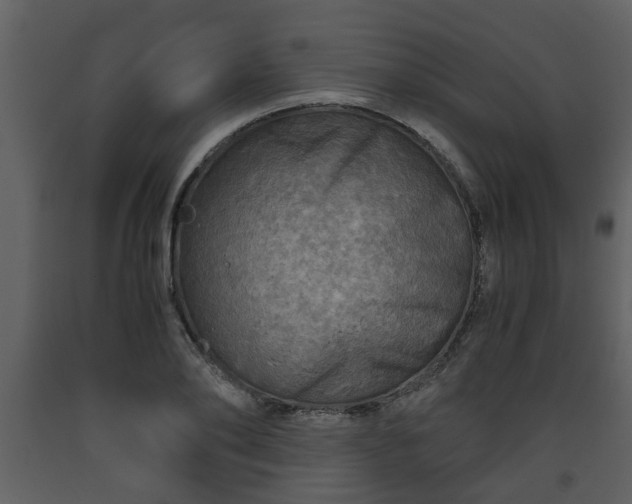 X0000093440886200710191038
