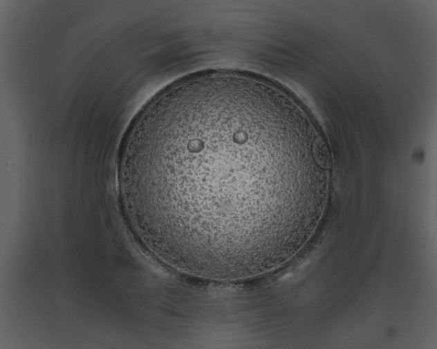 X0000093440887200710191038